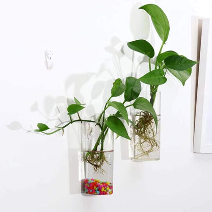 Glass Tube Wall Planter Propagation Station - Set of 2 Hydroponic Terrarium Cylinders for Home, Kitchen, and Office Decor, Ideal Gift for Plant Enthusiasts (Short Cylinder)