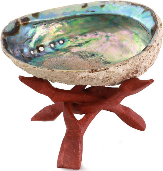 Natural Abalone Shell with Stand, 6-6.5 Inches - Ideal for Smudging, Home Cleansing, Meditation, Shell Crafts, and Incense Holding - 100% Natural and Sustainably Sourced by Ocean Shell Studios NZ