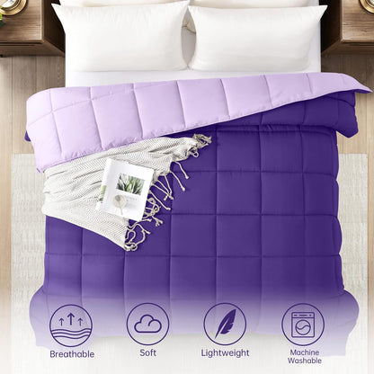 Twin Size Reversible Down Alternative Comforter - Lightweight Quilted Bedding in Plum and Light Purple for All Seasons