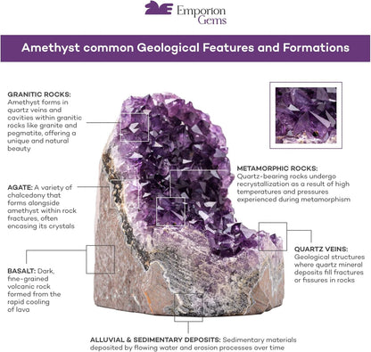 Natural Amethyst Crystal Clusters from Uruguay - 2 to 3 lbs, 4" to 7" Height, Deep Purple Geode Quartz