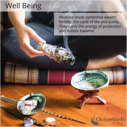 Natural Abalone Shell with Stand, 6-6.5 Inches - Ideal for Smudging, Home Cleansing, Meditation, Shell Crafts, and Incense Holding - 100% Natural and Sustainably Sourced by Ocean Shell Studios NZ