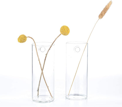 Glass Tube Wall Planter Propagation Station - Set of 2 Hydroponic Terrarium Cylinders for Home, Kitchen, and Office Decor, Ideal Gift for Plant Enthusiasts (Short Cylinder)