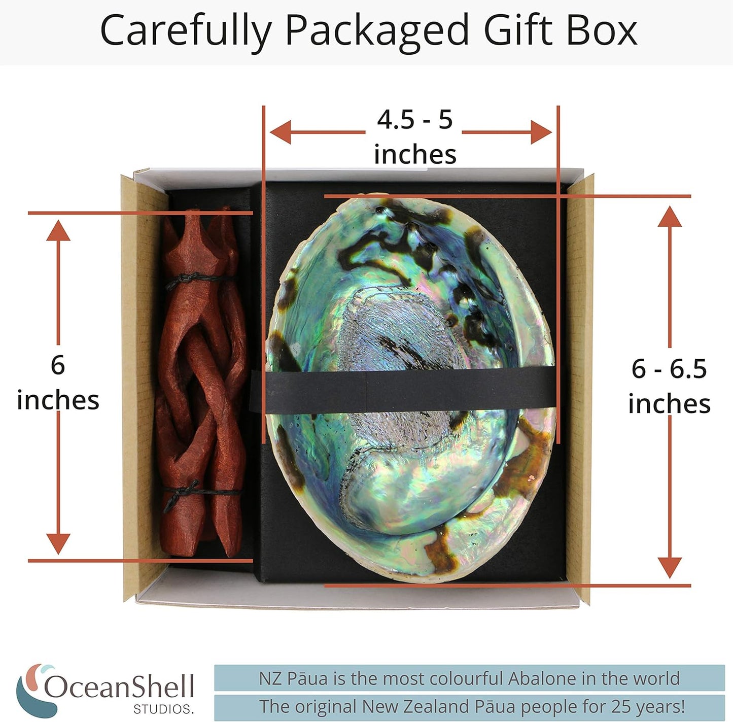 Natural Abalone Shell with Stand, 6-6.5 Inches - Ideal for Smudging, Home Cleansing, Meditation, Shell Crafts, and Incense Holding - 100% Natural and Sustainably Sourced by Ocean Shell Studios NZ