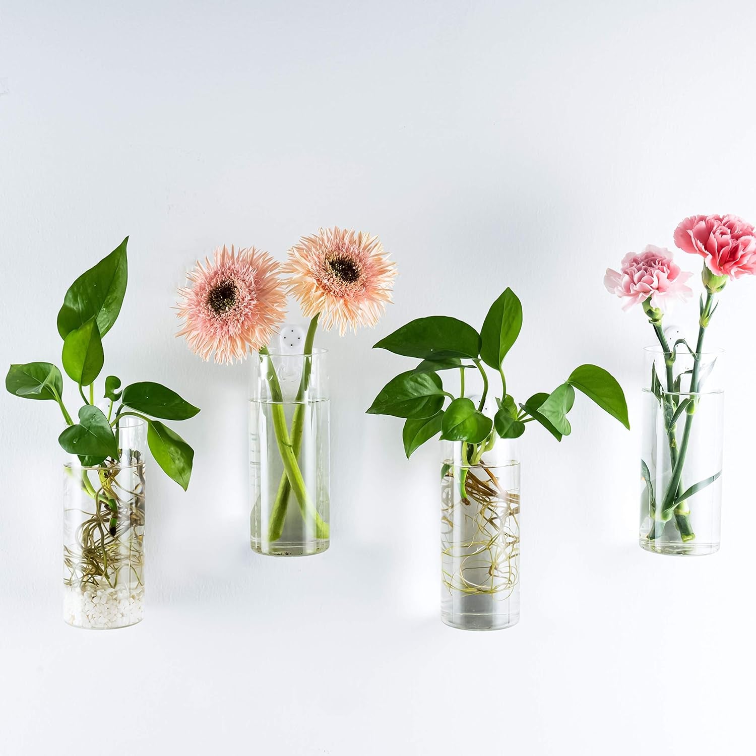 Glass Tube Wall Planter Propagation Station - Set of 2 Hydroponic Terrarium Cylinders for Home, Kitchen, and Office Decor, Ideal Gift for Plant Enthusiasts (Short Cylinder)