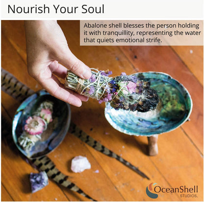 Natural Abalone Shell with Stand, 6-6.5 Inches - Ideal for Smudging, Home Cleansing, Meditation, Shell Crafts, and Incense Holding - 100% Natural and Sustainably Sourced by Ocean Shell Studios NZ