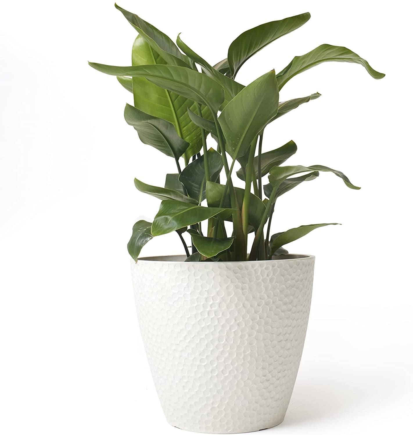 14-Inch Large Modern White Honeycomb Planter for Indoor and Outdoor House Plants