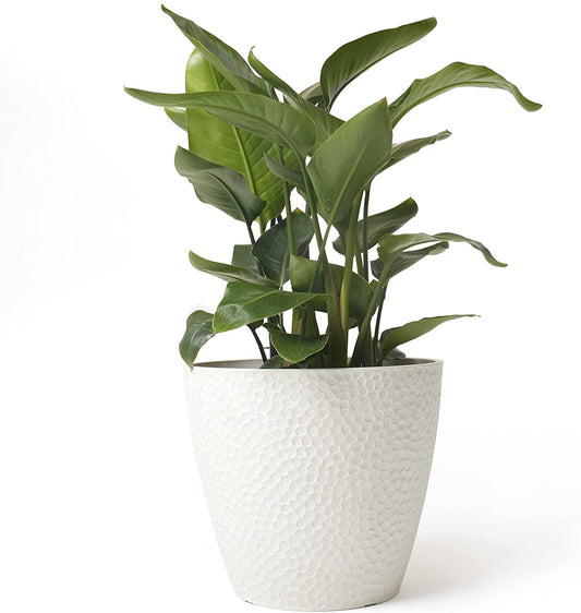 14-Inch Large Modern White Honeycomb Planter for Indoor and Outdoor House Plants