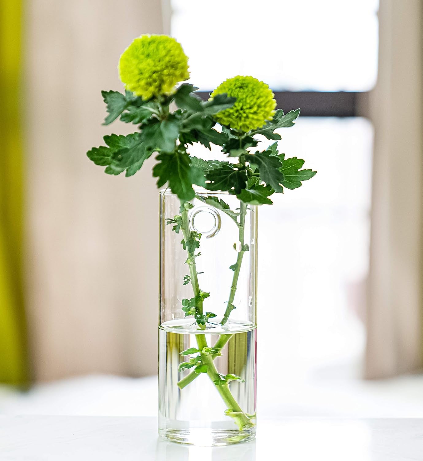 Glass Tube Wall Planter Propagation Station - Set of 2 Hydroponic Terrarium Cylinders for Home, Kitchen, and Office Decor, Ideal Gift for Plant Enthusiasts (Short Cylinder)